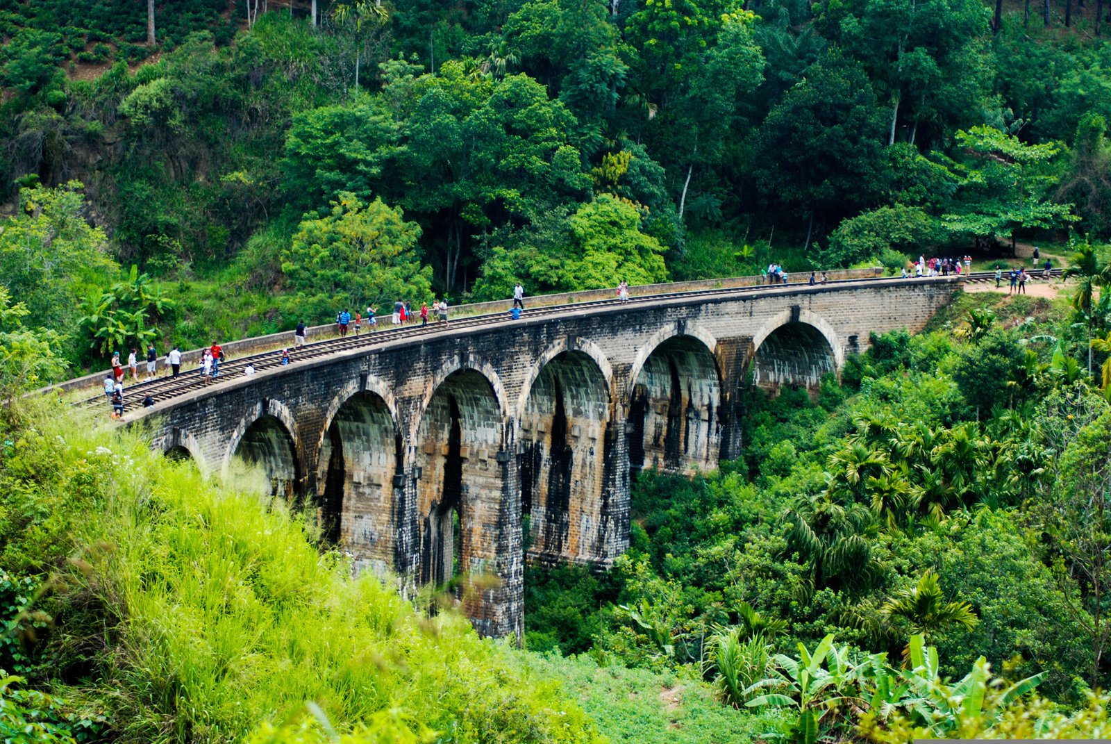 Ella Travel Guide 2026: The Ultimate Guide to Sri Lanka's Hill Country Paradise