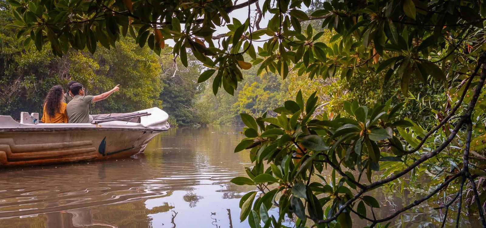 Madu River Boat Safari, Sri Lanka – The Ultimate Travel Guide (2026)