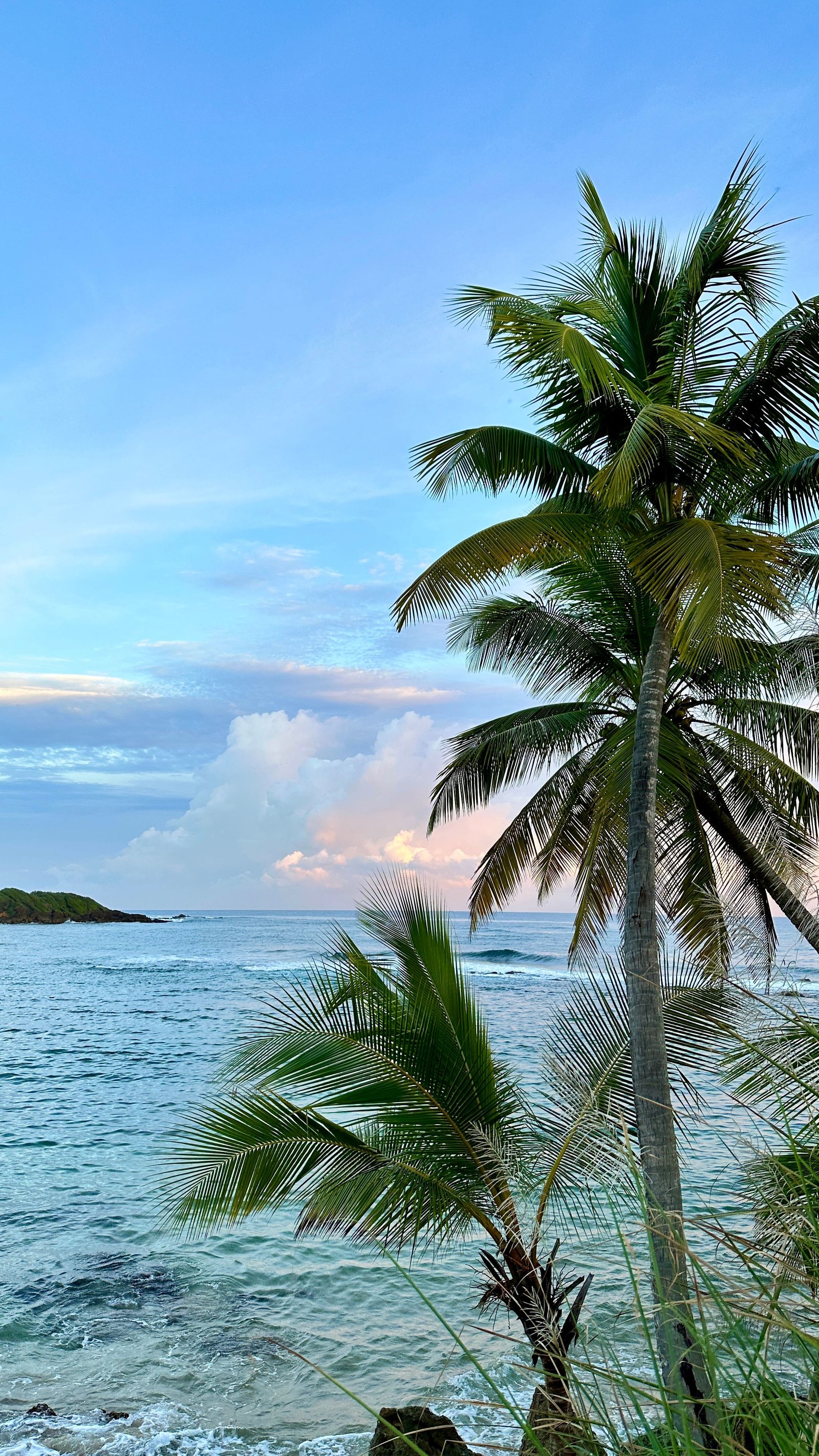 Best Beaches in Sri Lanka's South Coast | Ultimate Guide 2026
