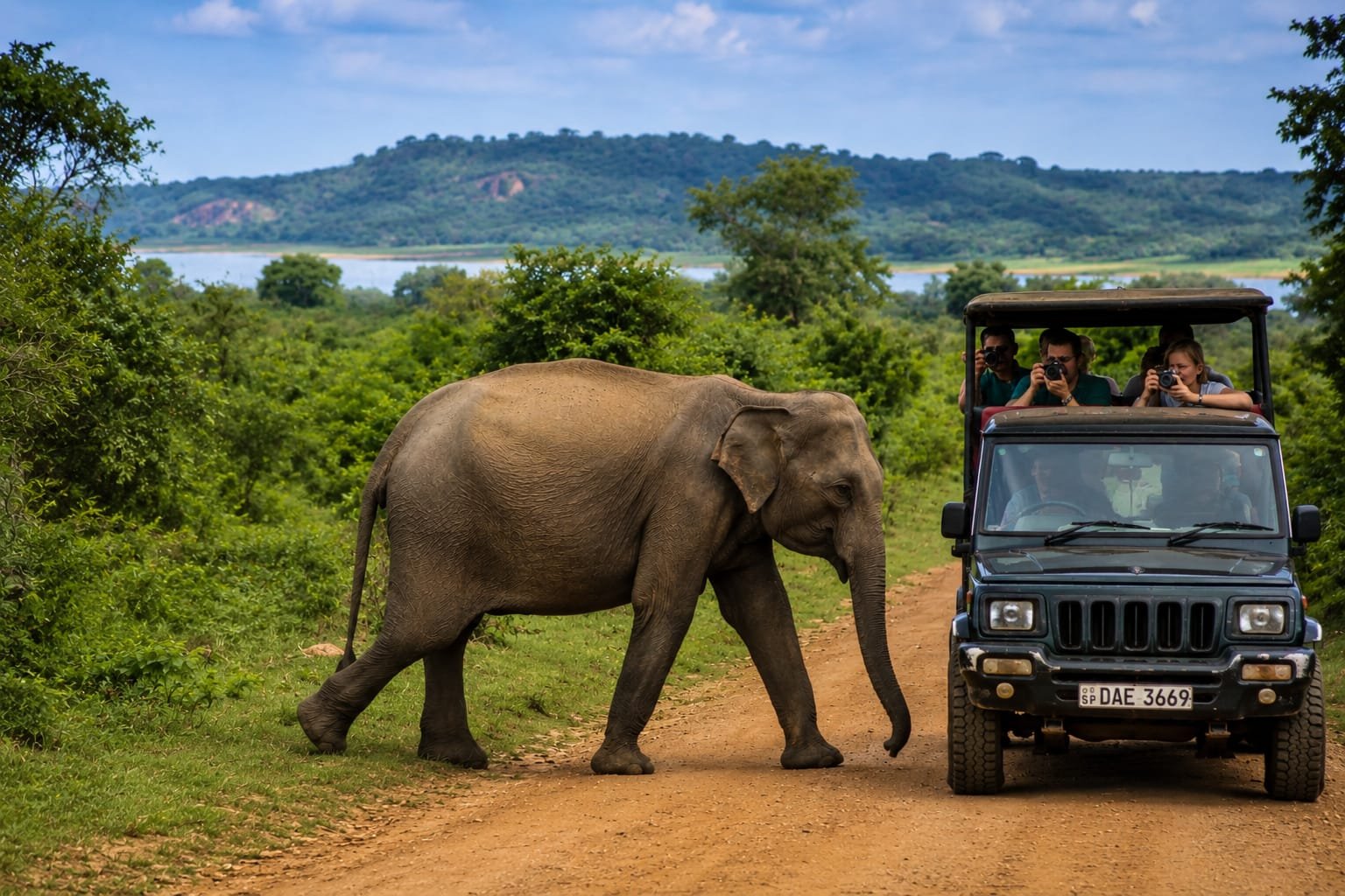 Udawalawe National Park Safari Guide 2026: The Ultimate Travel Guide for Elephant Safaris in Sri Lanka